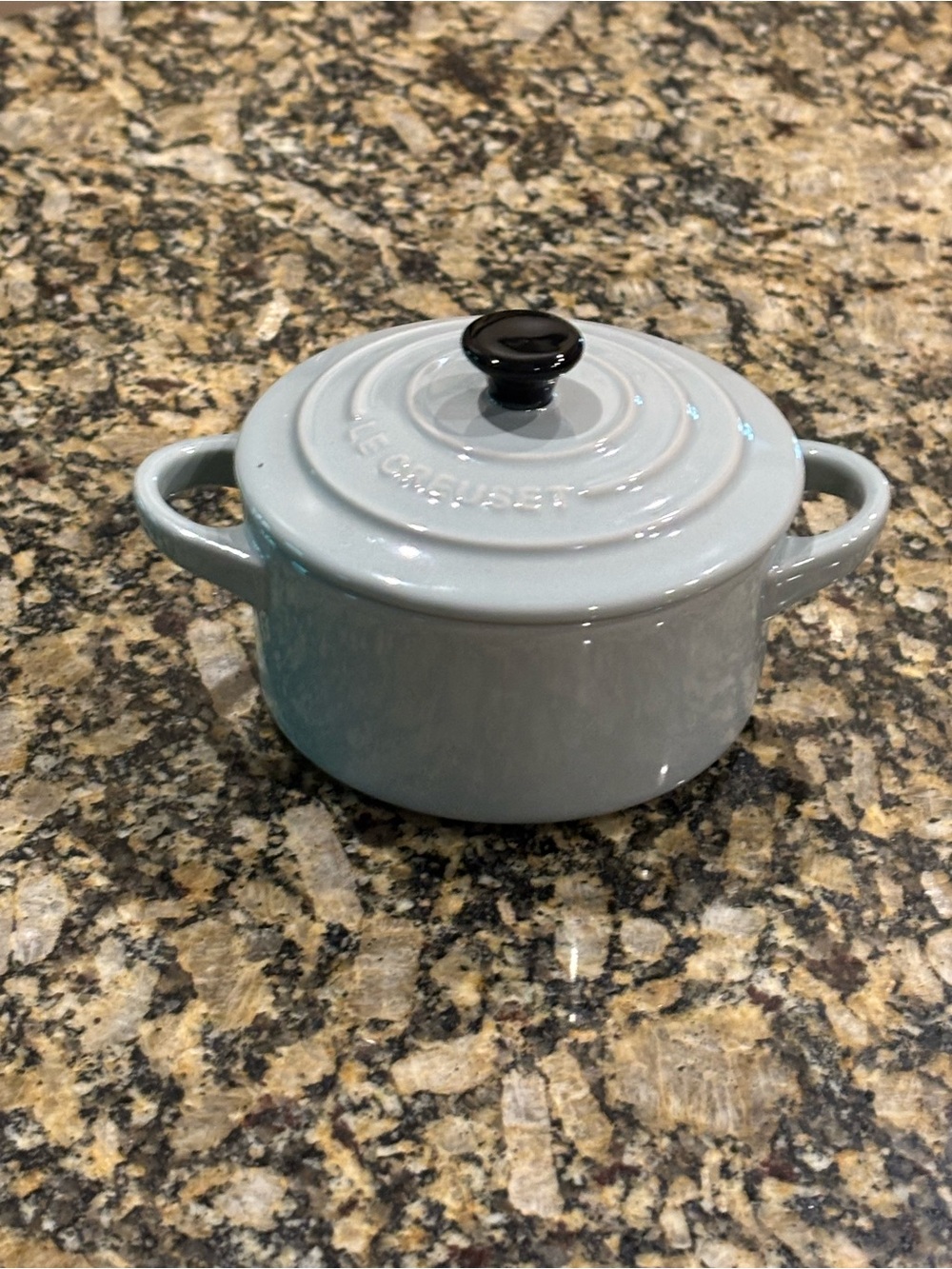 NWT Le Creuset mini Cocotte with lid and black knob in Pistacio